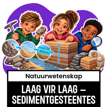 NWT Song 2