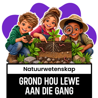 NWT Song 6